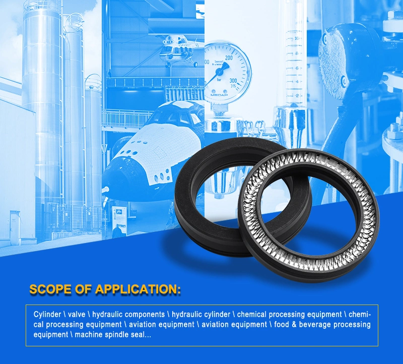 Auto Pump Hydraulic Seal Peek PTFE Spring Energized Seals