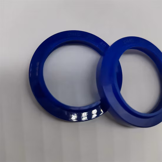 식품, 음료, 의료, 펌프, 유압용 PTFE 스프링 에너자이징 씰